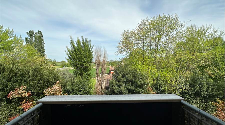 Terrazza