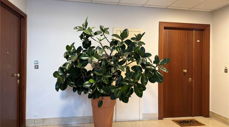 Vano scala