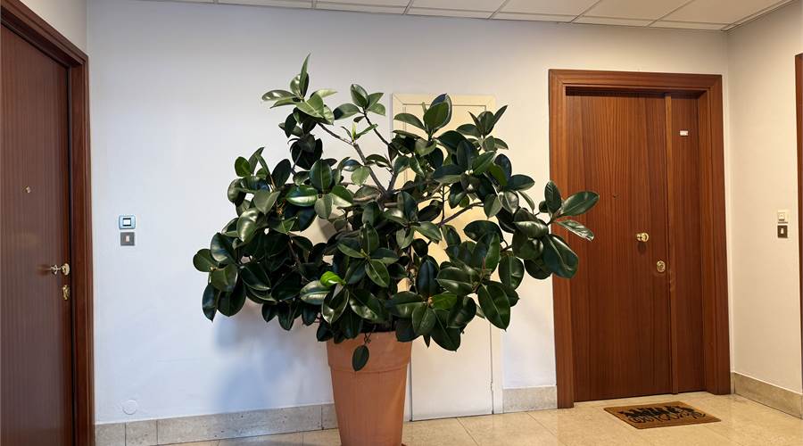 Vano scala