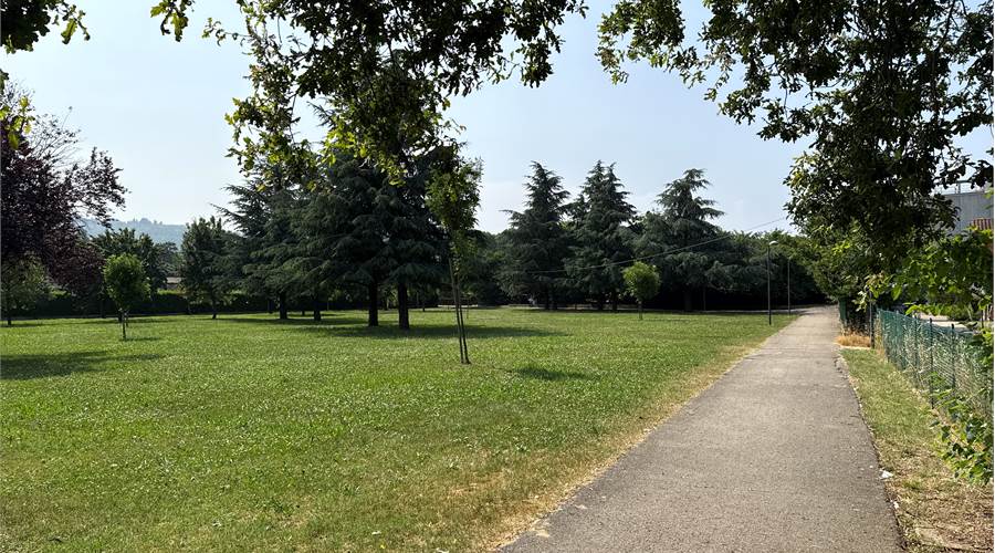 Photo 29