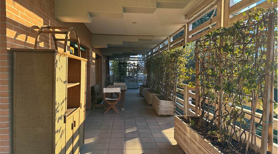 Terrazza