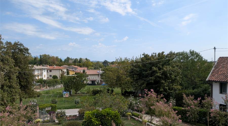 Photo 43