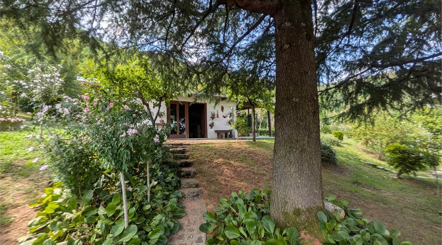 Giardino