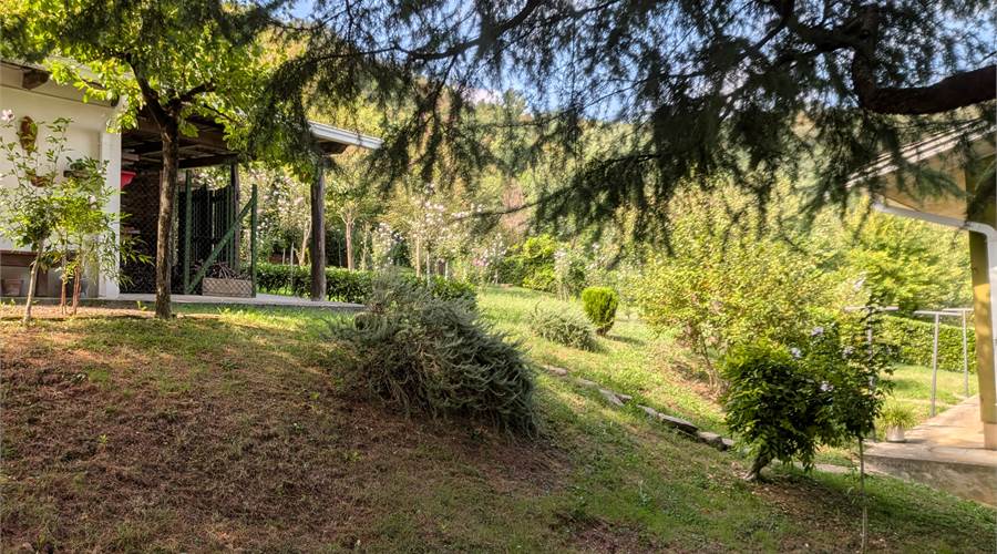 Giardino