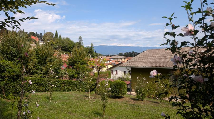 Photo 37