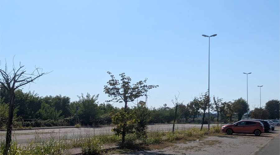 Photo 43